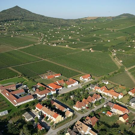 Tiffan'S Pinceszet Es Panzio Hotell Villány Rum bild