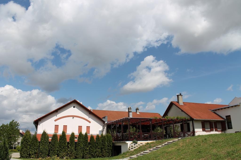 Tiffan'S Pinceszet Es Panzio Hotell Villány Exteriör bild