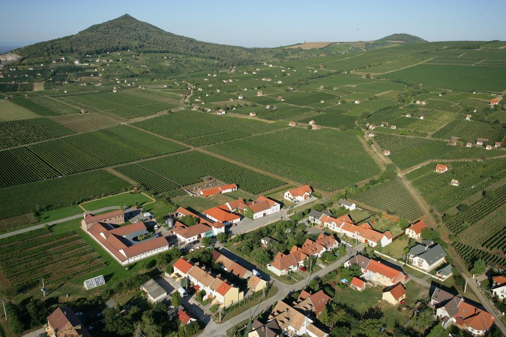 Tiffan'S Pinceszet Es Panzio Hotell Villány Rum bild