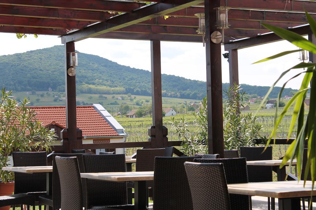 Tiffan'S Pinceszet Es Panzio Hotell Villány Exteriör bild