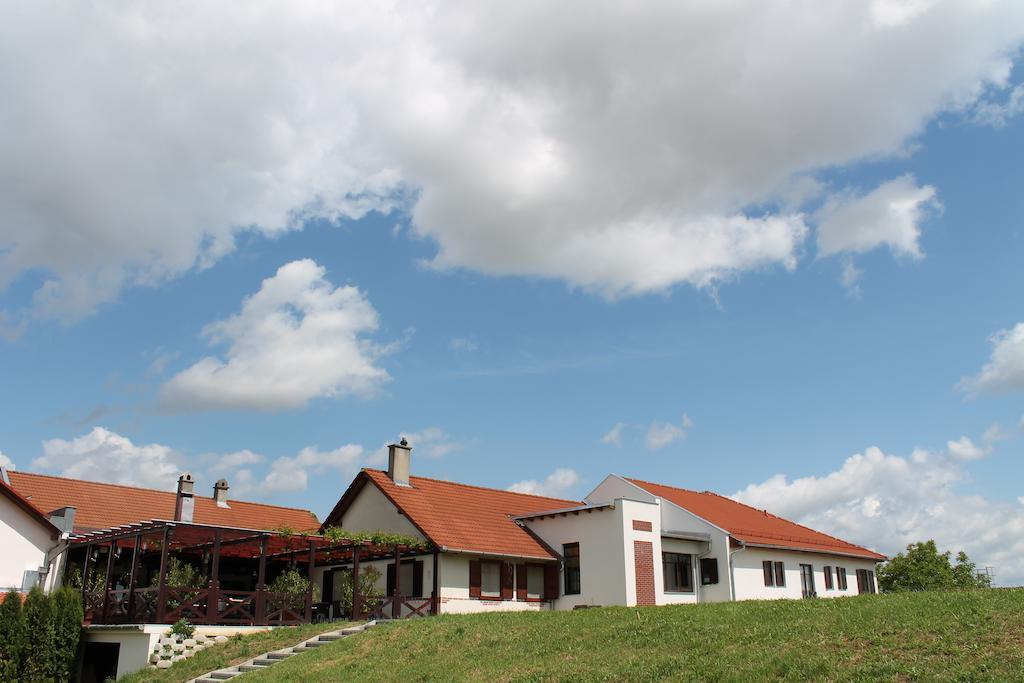 Tiffan'S Pinceszet Es Panzio Hotell Villány Exteriör bild